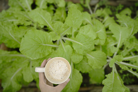 Hand people hold a Fresh coffee mug in home greenhouse garden. This cozy, still-life photo beautifully contrasts a modern lifestyle with sustainable organic gardening. Top viewの写真素材