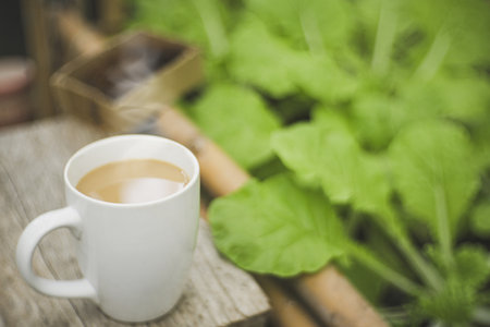 Fresh coffee mug in a home urban garden. This cozy, still-life photo beautifully contrasts a modern lifestyle with sustainable organic gardening.の写真素材