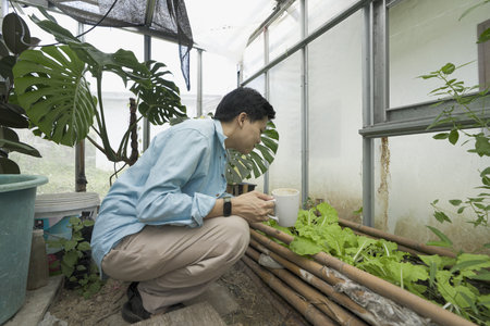 Man enjoying a quiet moment and coffee break inside an urban greenhouse focusing on the connection between sustainable living and wellness natural light and lush greenery indoor garden.の写真素材