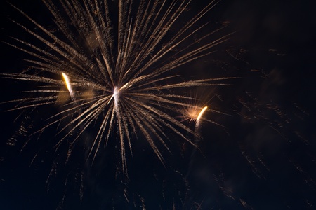 Fireworksのeditorial素材