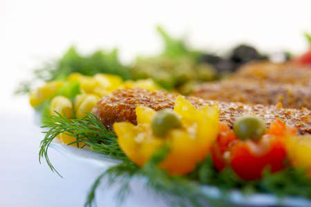 Ready meal with fennel and vegetablesの写真素材