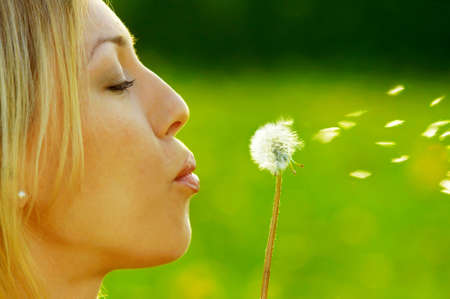 The girl blows on a dandelion on a background of a grassの写真素材