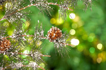 Pine branches with cones on a green sparkling backgroundの写真素材