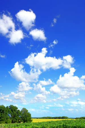 Summer landscape of agricultural grounds and the skyの写真素材