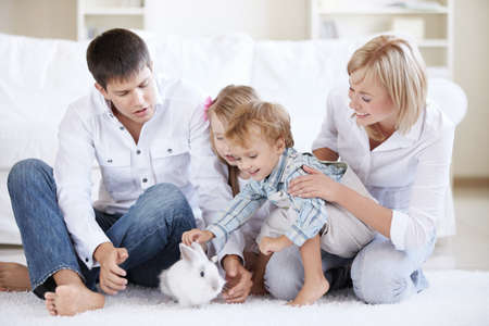 Children and parents watch the house bunnyの写真素材