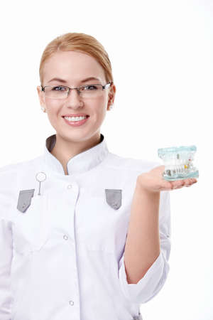 A young doctor with a dental jaw on a white backgroundの写真素材