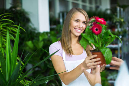 Young attractive woman holds out a flowerの写真素材