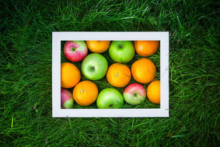 Still life of fruit on the grassの写真素材