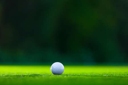 Golf ball on the lawnの写真素材