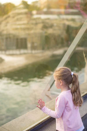 Little attractive girl in zooの写真素材