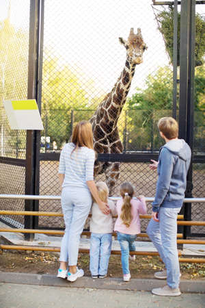 Family with giraffe in zooの写真素材