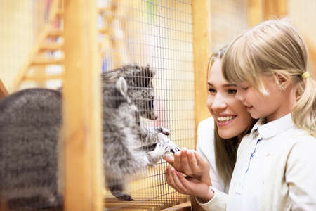 Smiling family with raccoonの写真素材