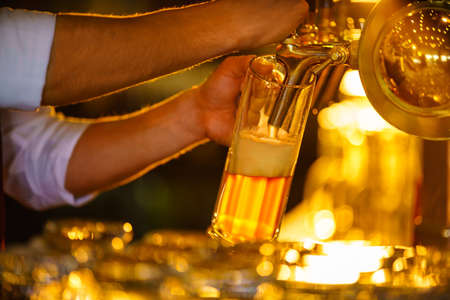 Waiter pours beer from the tapの写真素材