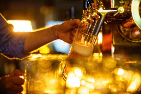 Waiter pours beer into a mugの写真素材