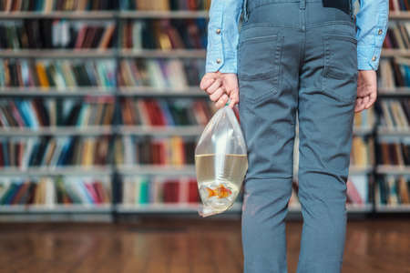 Boy with goldfish in libraryの写真素材