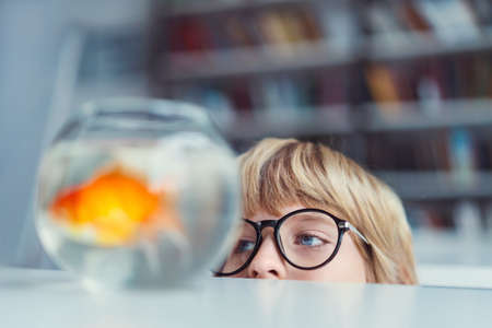 Little child with aquariumの写真素材