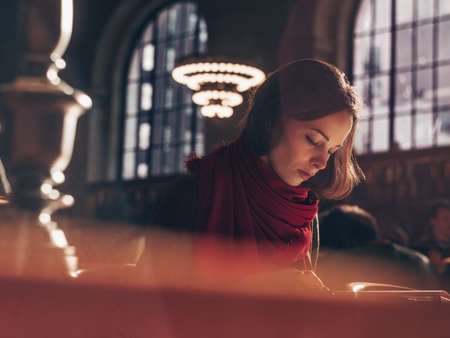 Attractive woman reading a book in the library
