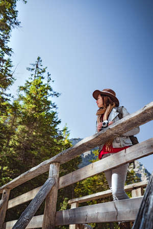 Attractive woman with a retro camera on a wooden bridgeの写真素材