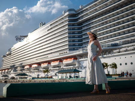 Attractive woman on the background of a white ship in the port
