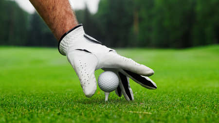 Male hands in a white glove put a golf ball on the courseの写真素材