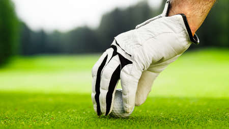 Male hands in a white glove put a golf ball on the courseの写真素材