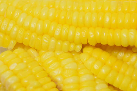 sweet cornの写真素材