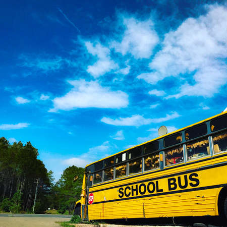 School busの素材