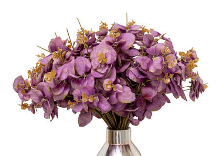 3 types of flowers in a vase  isolated on whiteの写真素材
