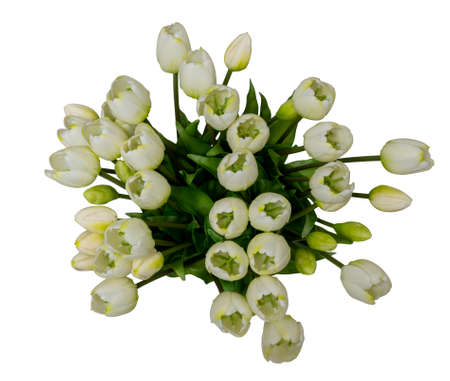 3 types of flowers in a vase isolated on whiteの写真素材