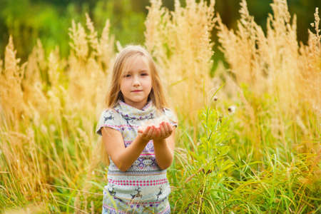 Beautiful european toddler girl with long blond hair in colorful field playes with plantsの写真素材