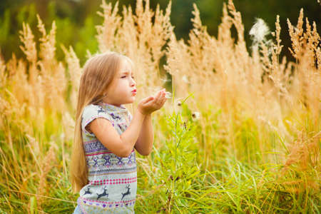 Attractive european toddler girl with long blond hair blows out white fluffs in colorful fieldの写真素材