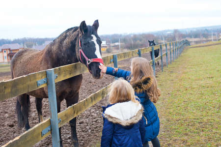 Two sister girls cold autumn day meet horses on ranch and touch it carefullyの写真素材