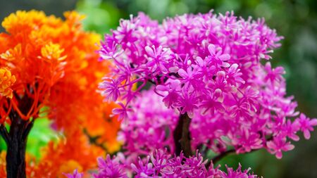 Close up of flower arrangements for decorationの写真素材