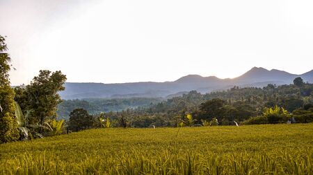 Beautiful views of rice fields and mountains at sunriseの写真素材