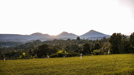 Beautiful views of rice fields and mountains at sunriseの写真素材