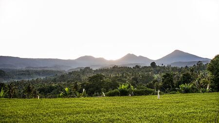 Beautiful views of rice fields and mountains at sunriseの写真素材