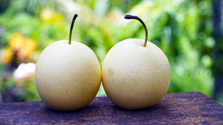 pears on the tableの写真素材