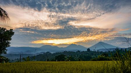 Beautiful views of rice fields and mountains at sunriseの写真素材