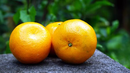 Orange fruit on the tableの写真素材