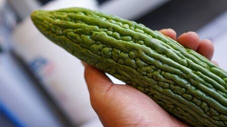 Close up of hands holding bitter melon