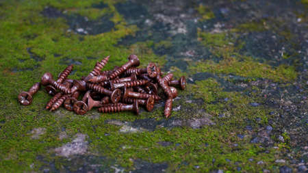 Close up small rusty bolts