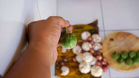 Close up hands holding green eggplantsの写真素材