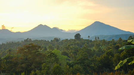 View of the mountains and forest at sunriseの写真素材