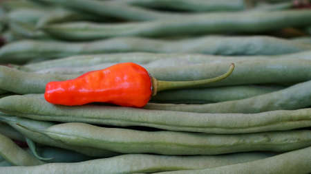 Close up of red chillies and raw beansの写真素材