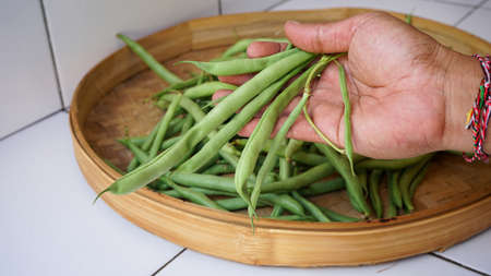 Close up hand holding raw beansの写真素材