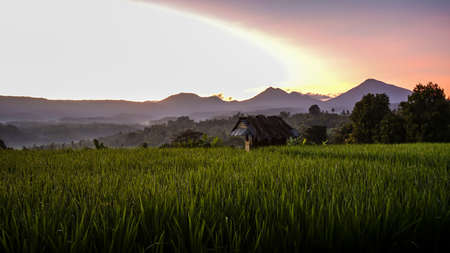 Beautiful views of the sunrise in the tropical countrysideの写真素材