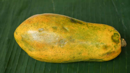 Close up of ripe papaya fruitの写真素材
