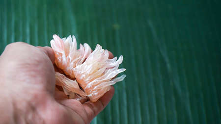 Close up of peeled grapefruitの写真素材