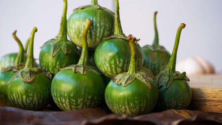 Close up raw eggplantの写真素材