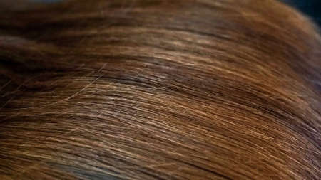 Close up brown hairの写真素材